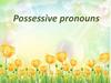 Possessive pronouns