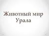 Животный мир Урала