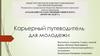 Карьерный путеводитель для молодежи г. Тулы