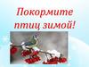 Птицы зимой
