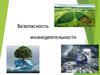Безопасность жизнедеятельности
