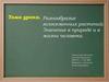 Разнообразие голосеменных растений. Значение в природе и в жизни человека