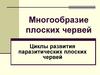 Многообразие плоских червей. Циклы развития паразитических плоских червей. Урок 4