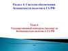 Раздел 4. Система обеспечения безопасности полетов в ГА РФ. Тема 4. Государственный контроль за безопасностью полетов в ГА РФ