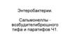 Энтеробактерии. Сальмонеллы возбудители брюшного тифа и паратифов