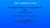 Аттестация аспиранта 2 - го года обучения (шаблон)