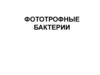 Фототрофные бактерии