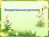 Лекарственные растения