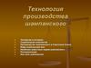 Технология производства шампанского. Виды шампанских вин