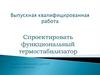 Спроектировать функциональный термостабилизатор