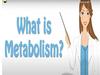 Whft is metabolism