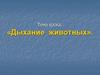 Дыхание животных