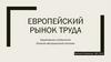 Европейский рынок труда. Характерные особенности. Влияние миграционной политики