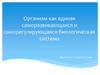 Организм как единая саморазвивающаяся и саморегулирующаяся биологическая система