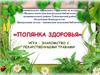 «Полянка здоровья». Игра-знакомство с лекарственными травами