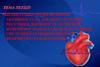 Вплив різних видів фізичної активності на діяльність серця. Регуляція діяльності серця при фізичному навантаженні