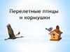 Перелетные птицы и кормушки