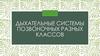 Дыхательные системы позвоночных разных классов