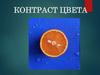 Контраст цвета