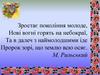 Україна часів Т. Шевченка. Розповідь про поета, його дитинство (на основі повісті С. Васильченка «В бур’янах»)