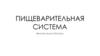Пищеварительная система