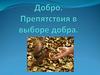 Добро. Препятствия в выборе добра