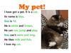 My pet