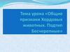 Общие признаки хордовых животных. Подтип бесчерепные