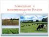 Земледелие и животноводство России