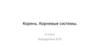 Корень. Корневые системы. 6 класс