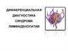 Дифференциальная диагностика синдрома лимфаденопатии