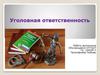 Уголовная ответственность