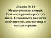 Метастронгилез свиней. Телязиоз крупного рогатого скота. Особенности биологии возбудителей, диагностика и методы терапии