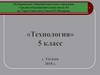Интерьер жилого дома (технология)