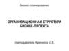 Организационная структура бизнес-проекта
