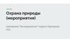 Охрана природы (мероприятия)