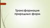 Трансформация природных форм