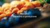 Mercato, Consumo e produzione