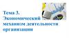 Экономический механизм деятельности организации