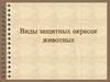 Виды защитных окрасок животных