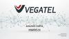 Анализ сайта vegatel.ru