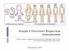 Онтогенез. Возрастная периодизация. Лекция 3
