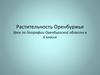Растительность Оренбуржья. Урок по Географии Оренбургской области (6 класс)