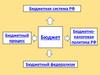 Бюджетная система РФ
