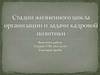 Стадии жизненного цикла организации и задачи кадровой политики