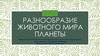 Разнообразие животного мира планеты