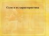 Сели и их характеристика