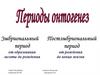 Периоды онтогенеза человека