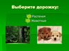Викторина "Растения и животные"