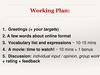 Working Plan